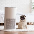 Choosing the Right Air Filter for Your Pet's Room: An Expert Guide