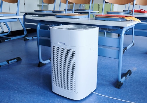 Do I Need Both a Dehumidifier and Air Purifier? - An Expert's Perspective