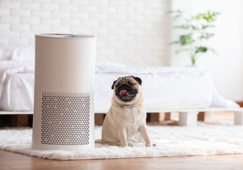 Choosing the Right Air Filter for Your Pet's Room: An Expert Guide